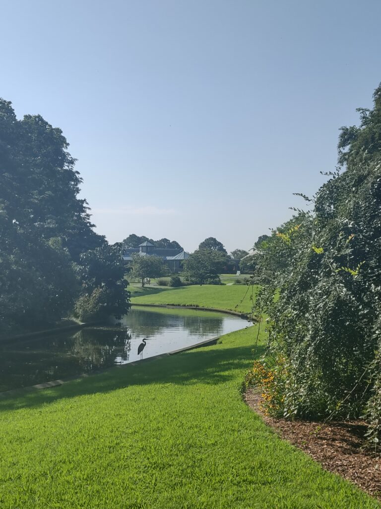 Norfolk, VA Botanical Gardens, blue heron