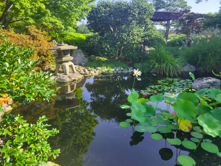 Norfolk, VA Botanical Gardens, Japanese garden