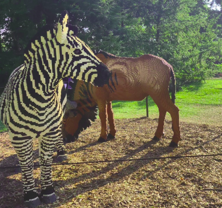 MSV - Lego Zebra, Museum of the Shenandoah Valley, museum Winchester, VA