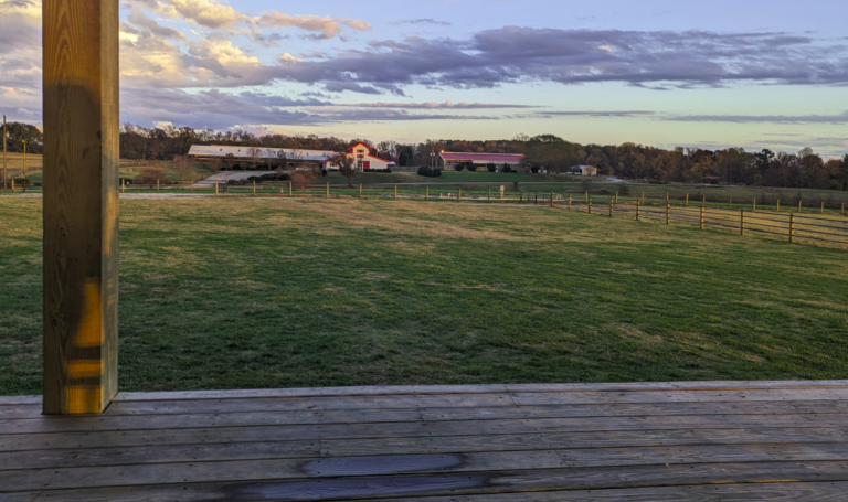 Howling Cow - Raleigh, NC - View