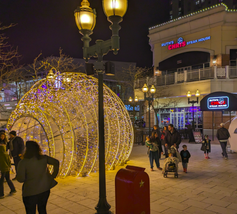 Virginia Beach Snow Globe - lights