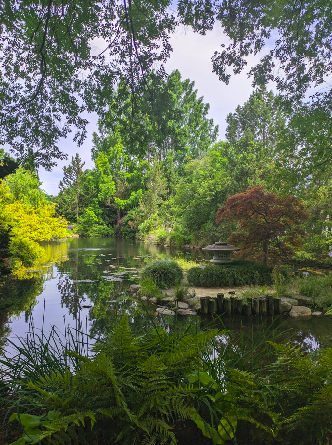 Lewis Ginter Botanical Garden Japanese garden