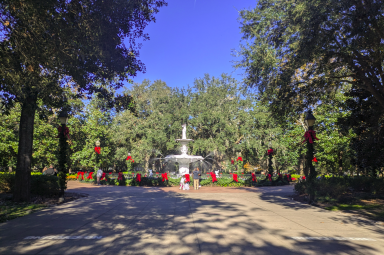 collins quarter at forsyth - park